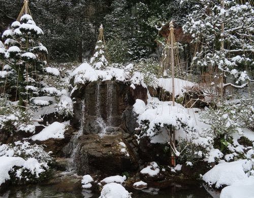 【フロントロビー】雪吊りの冬景色