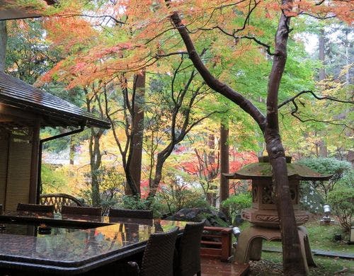 【ライブラリーラウンジ大樹】秋のテラス席（11月）