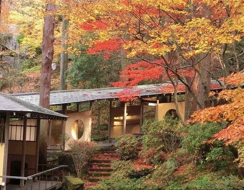 【四季回廊】秋の回廊（11月中旬～下旬）