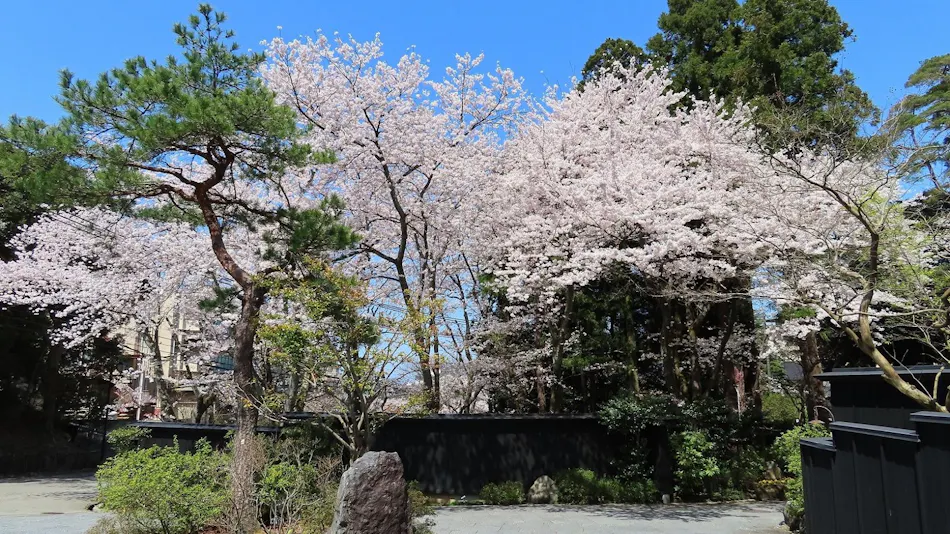 Mori no Sumika Resort & Spa