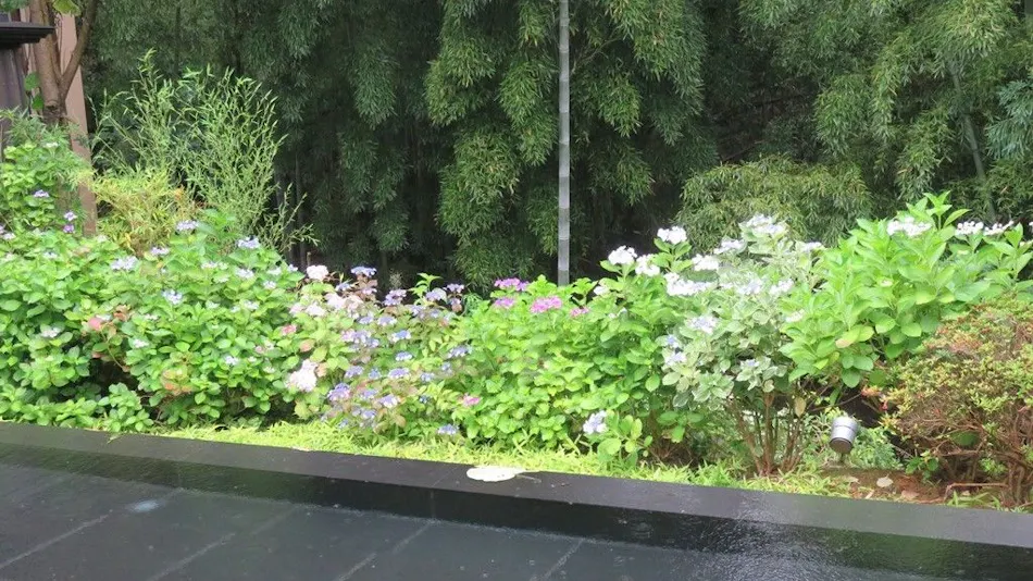 Mori no Sumika Resort & Spa