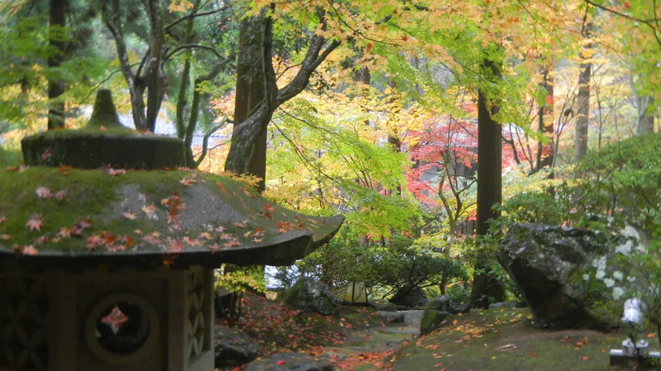 Mori no Sumika Resort & Spa