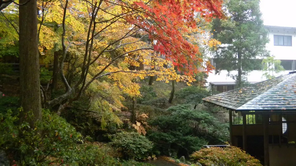 Mori no Sumika Resort & Spa