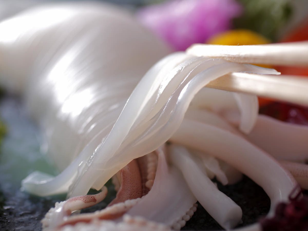 海辺の宿 皆生菊乃家