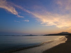 宵待ちの宿萩一輪