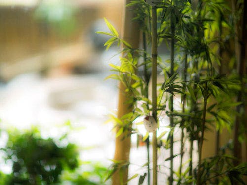 ■館内イメージ■