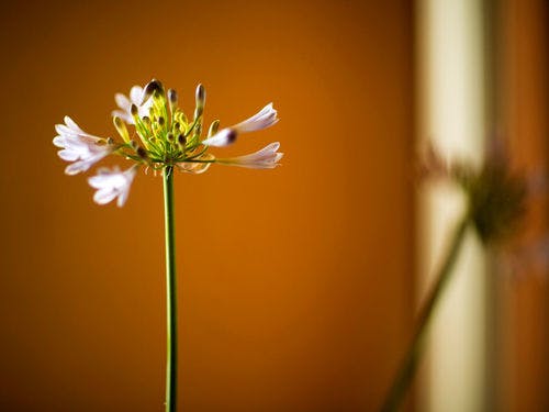 ■館内イメージ■