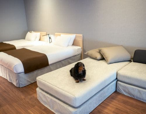 ドッグアメニティ