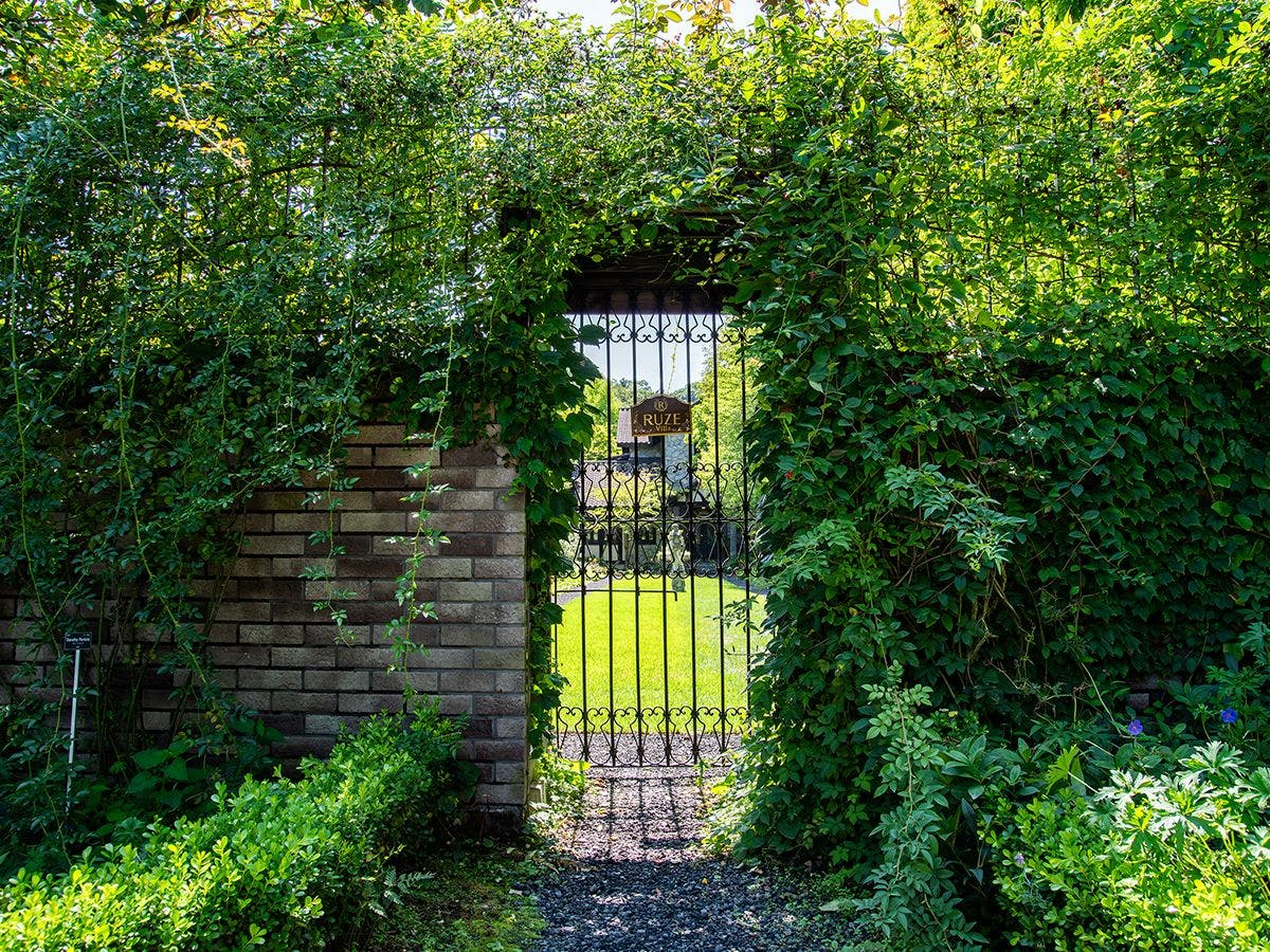 *ボーダーガーデン