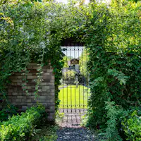 *ボーダーガーデン