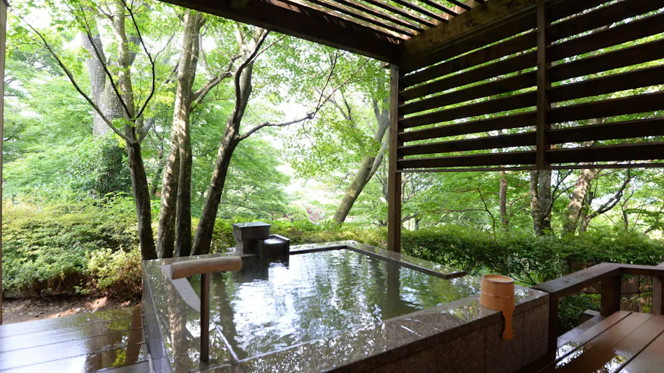 Hakone Gora Byakudan
