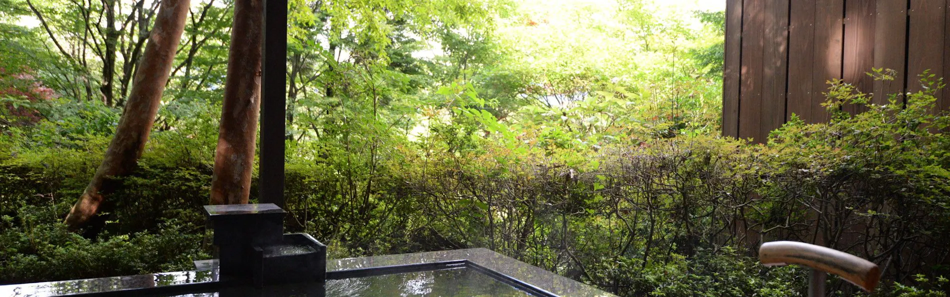 箱根強羅 白檀