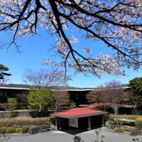 ทัศนียภาพฤดูใบไม้ผลิ