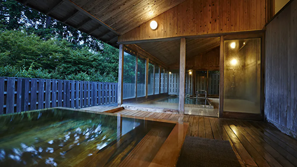 Hakone Retreat Fore