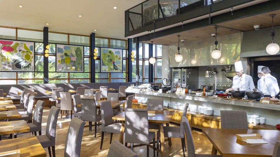 Hakone Retreat Fore