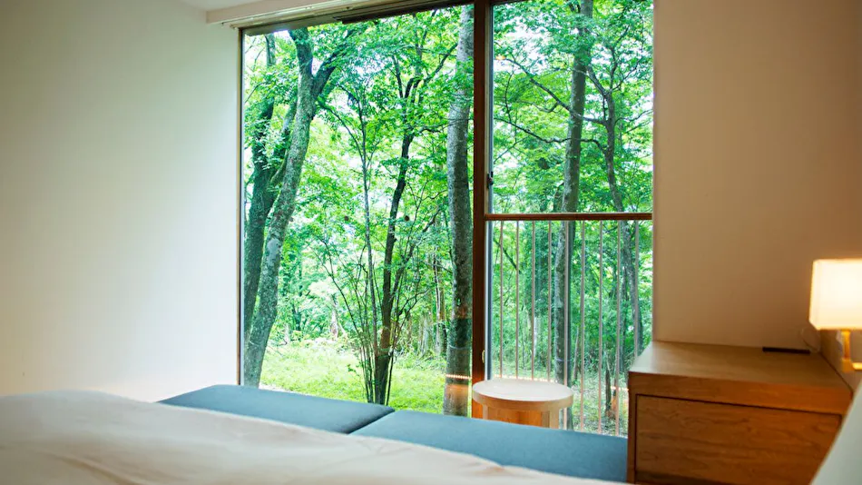 Hakone Retreat Fore