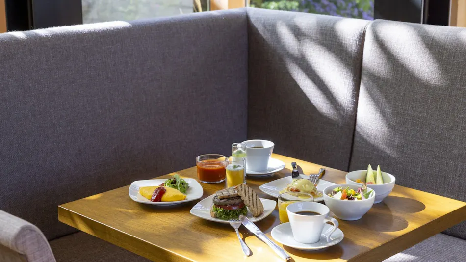 Hakone Retreat Fore