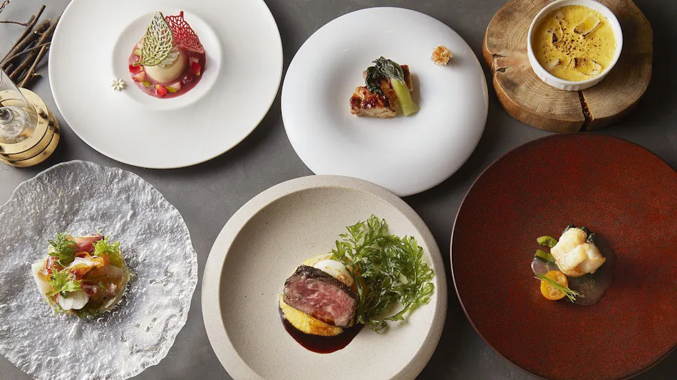 Hakone Retreat Fore
