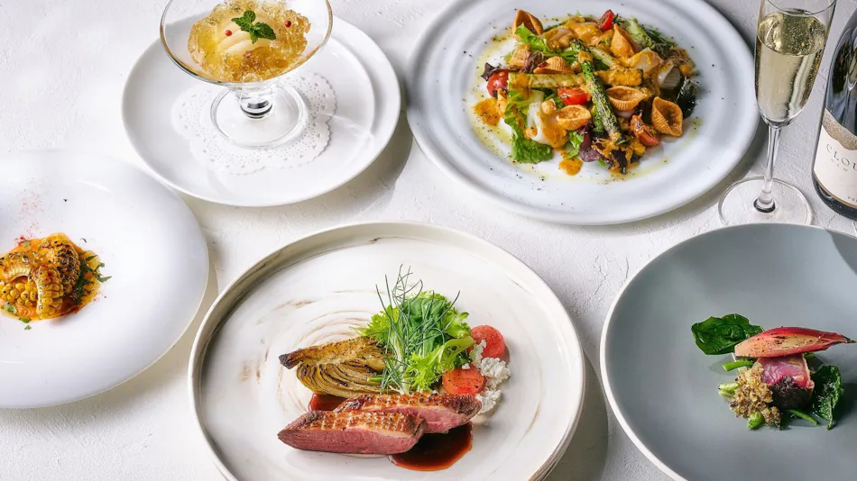 Hakone Retreat Fore