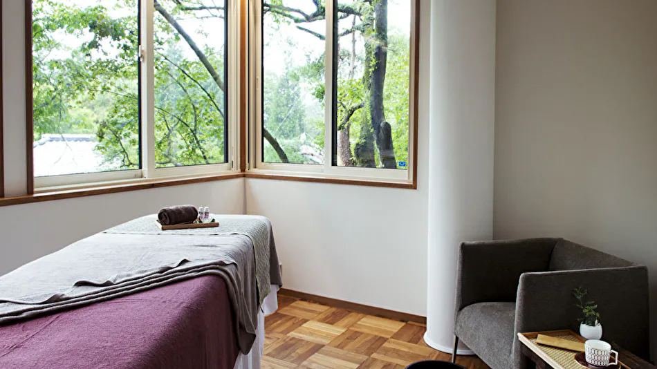 Hakone Retreat Fore