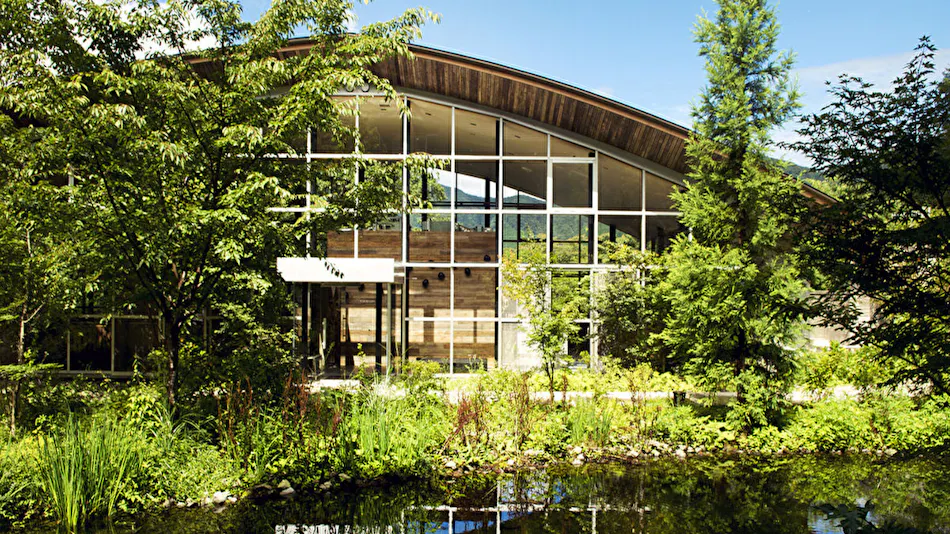 Hakone Retreat Fore