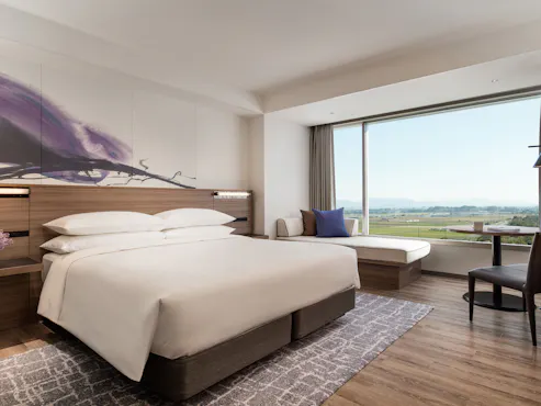 高級客房 / 30平方米【2-3人】