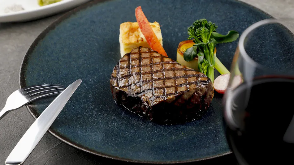 Lake Biwa Marriott Hotel