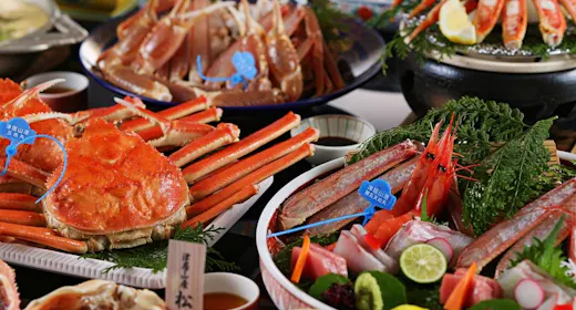 【地物タグ付き・松葉がに2匹】厳選!「活松葉がにづくし」2026