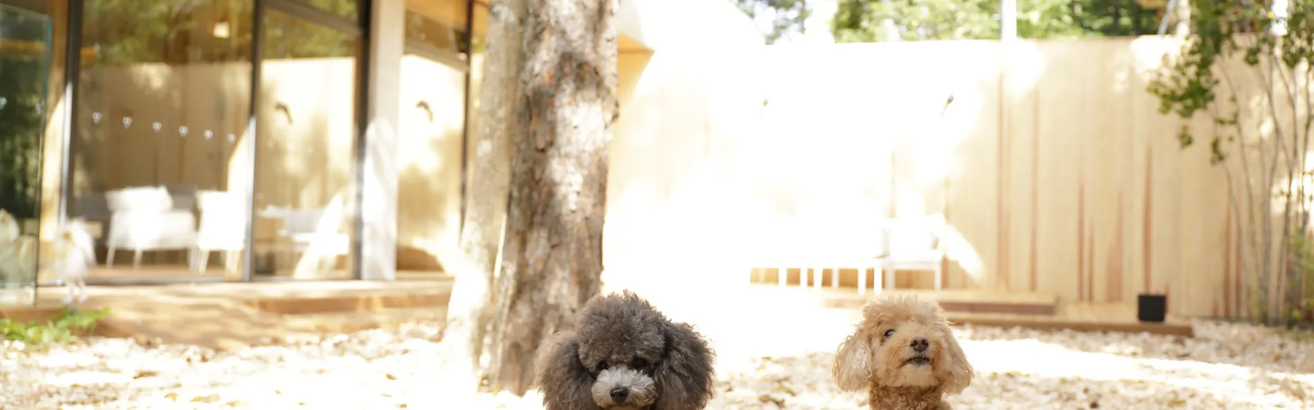 レジーナリゾート旧軽井沢