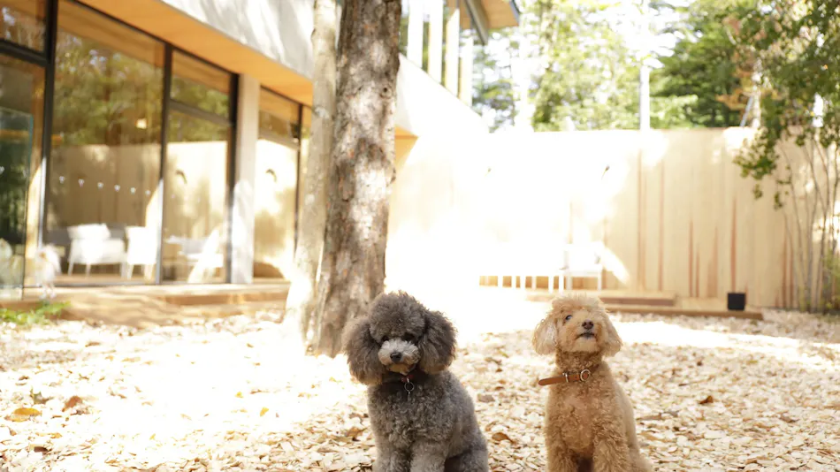 Regina Resort Old Karuizawa