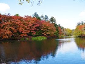 レジーナリゾート旧軽井沢