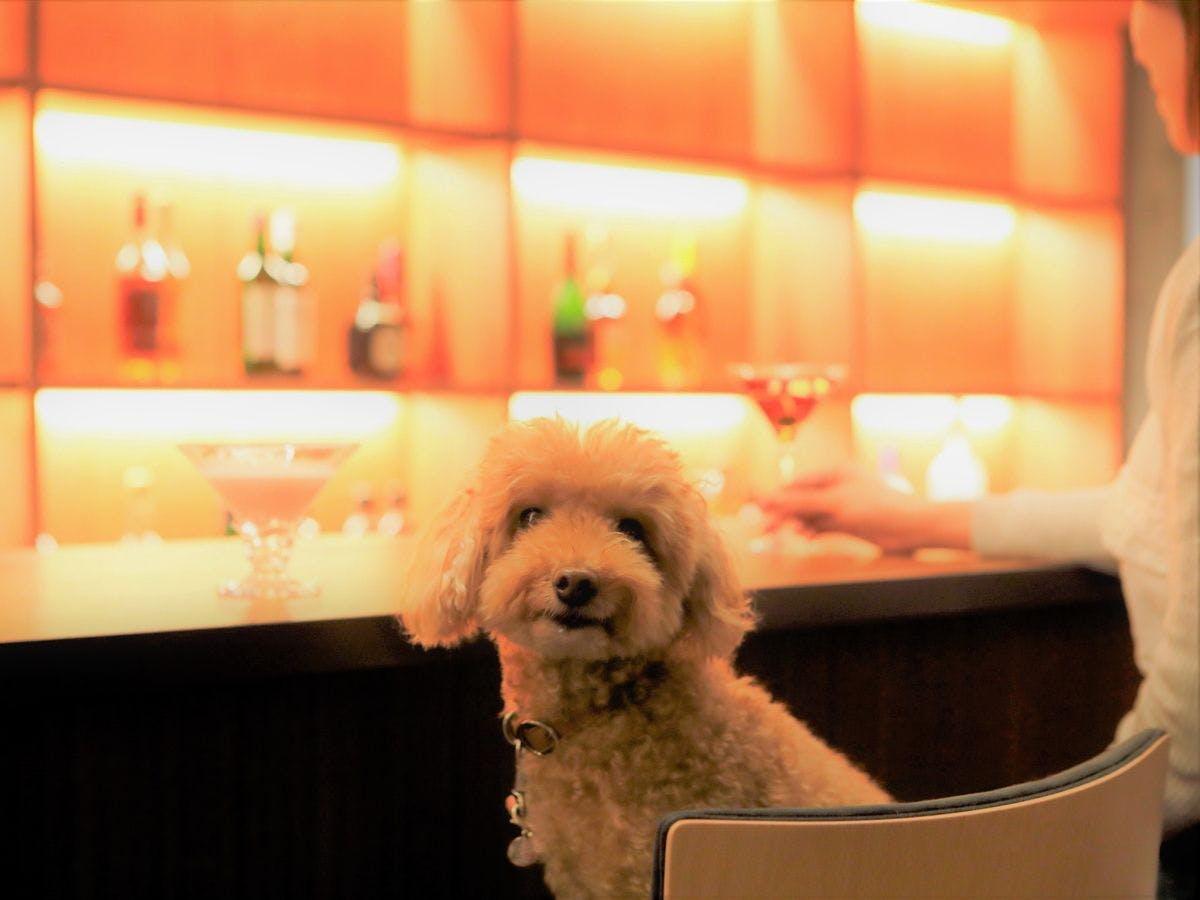 レジーナリゾート旧軽井沢