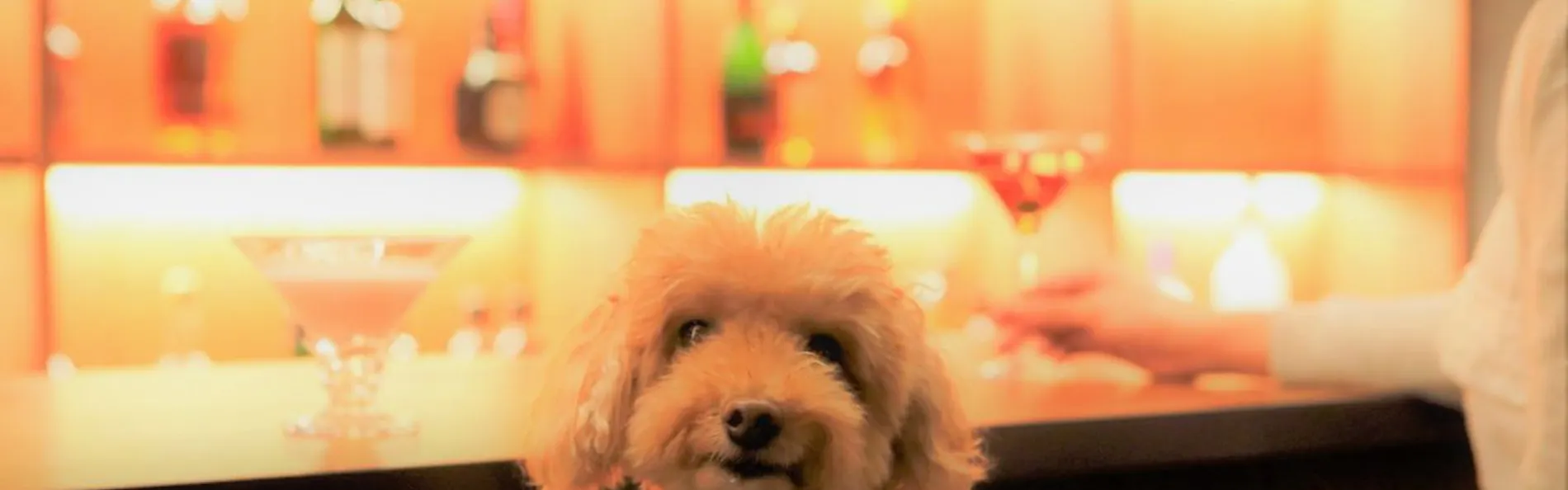 レジーナリゾート旧軽井沢