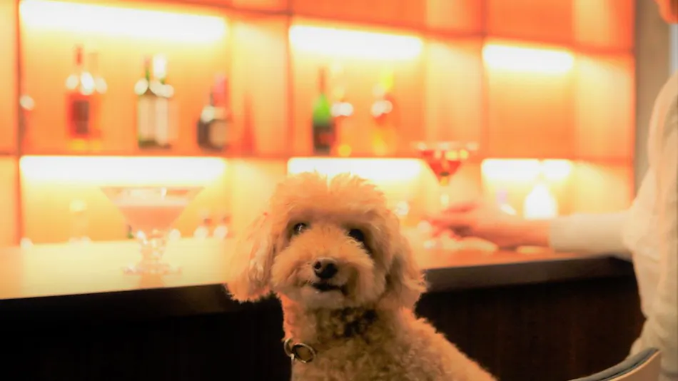 Regina Resort Old Karuizawa