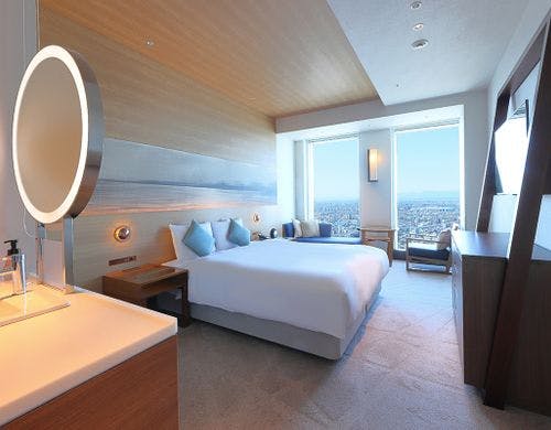 スカイキング レイアウト