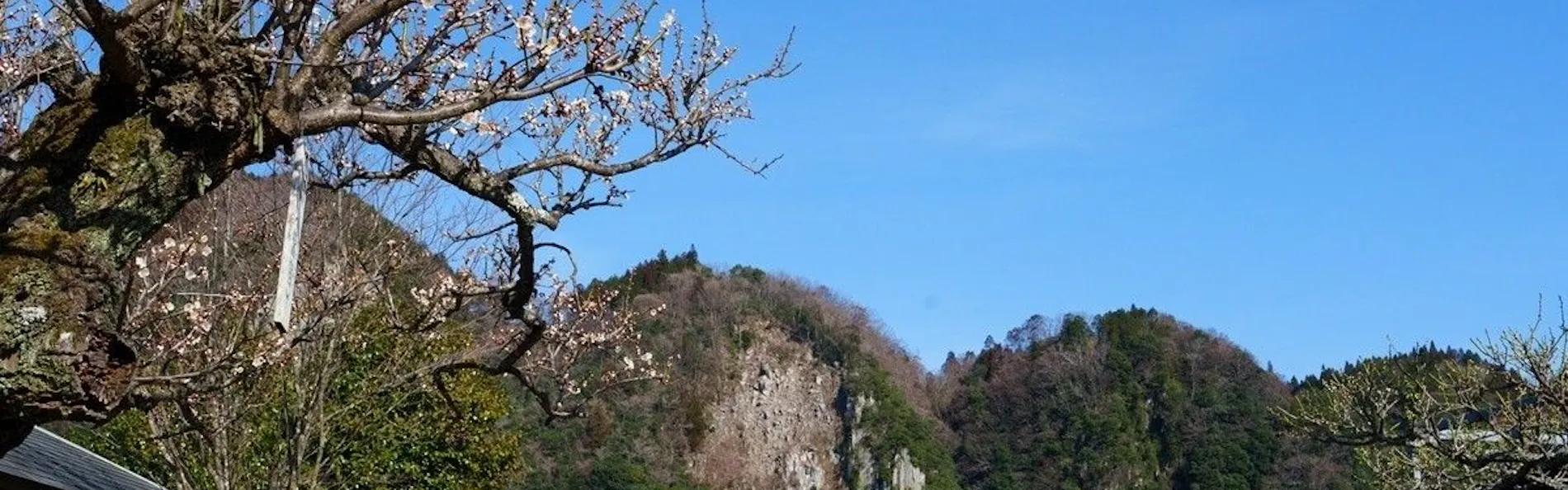 奥日田温泉 うめひびき