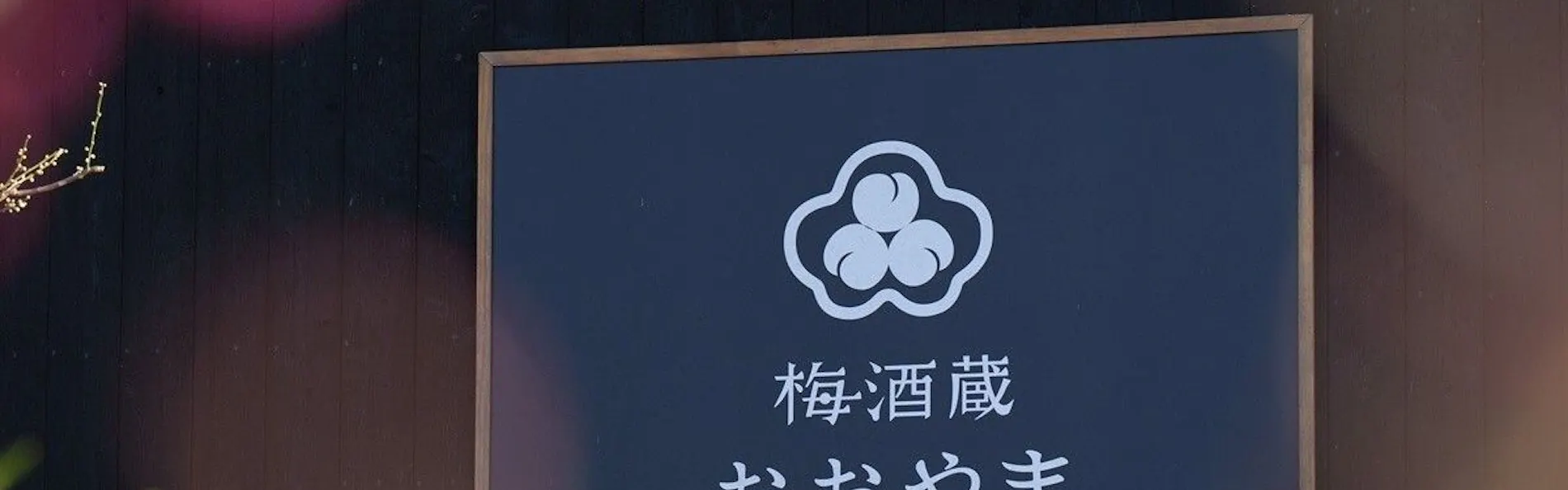 奥日田温泉 うめひびき