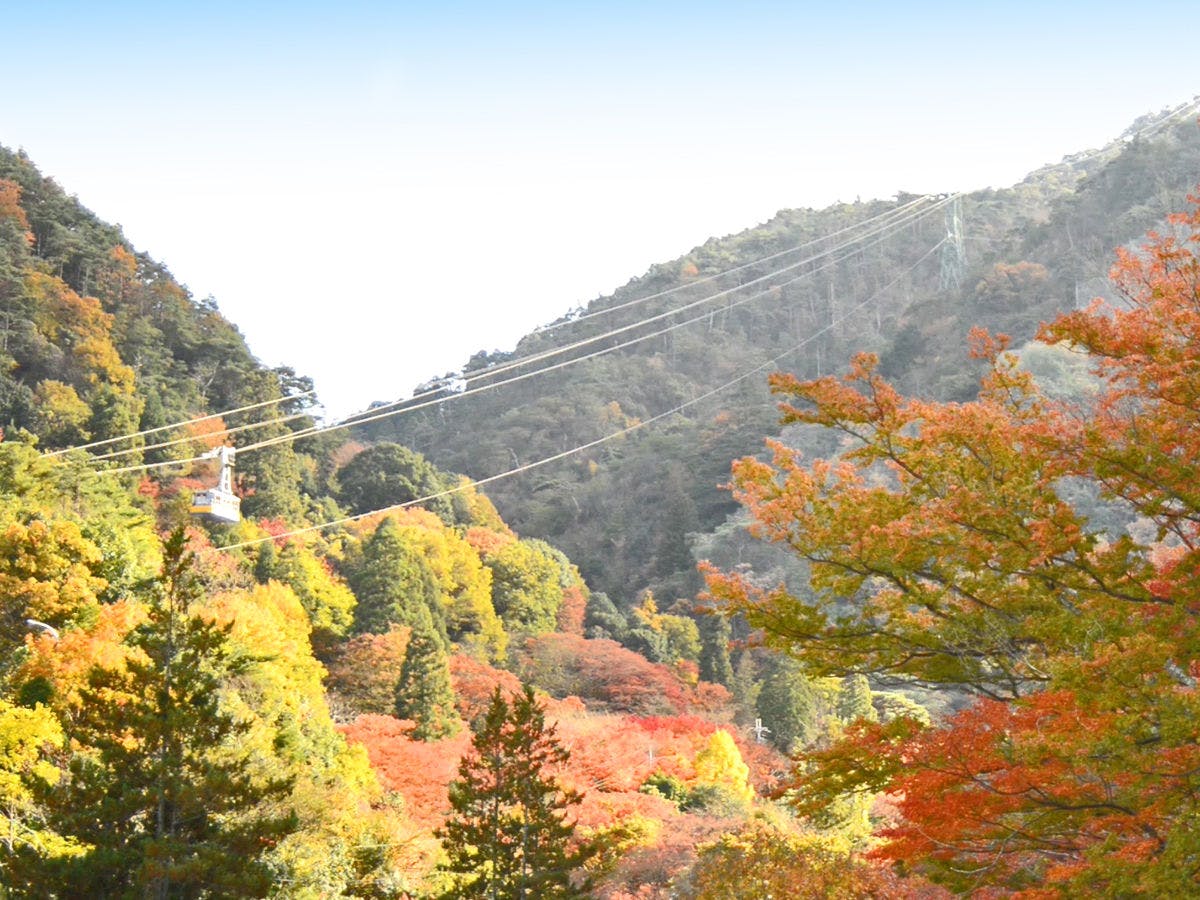 天地の宿　奥の細道