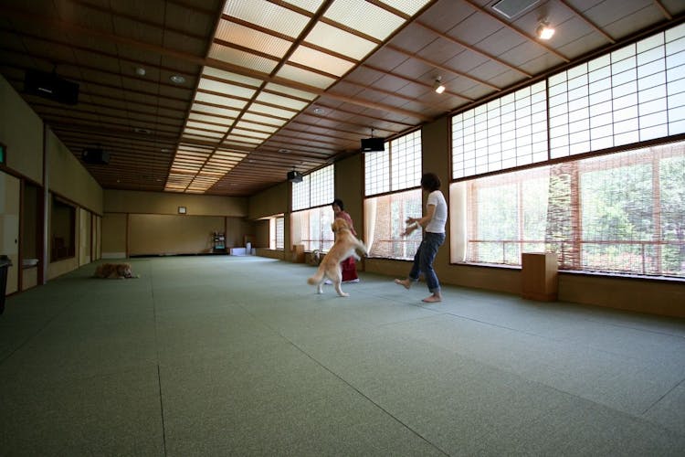 愛犬と楽しむ温泉旅館 伊豆修善寺 絆 静岡県の宿 ペット想い Com