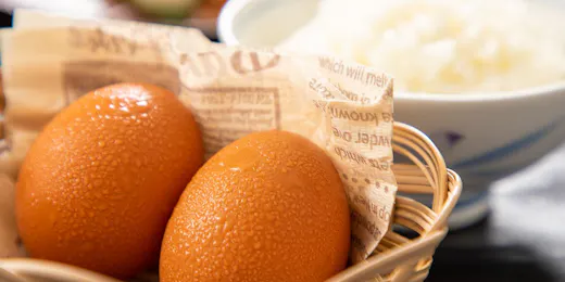 御宿 白金の森