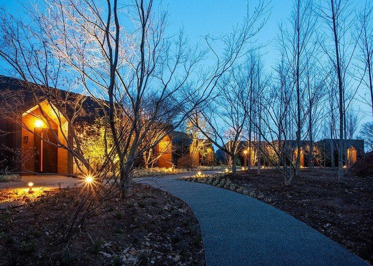 Hutan platinum, malam yang indah