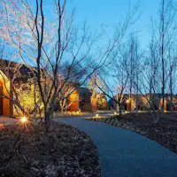 Hutan platinum, malam yang indah