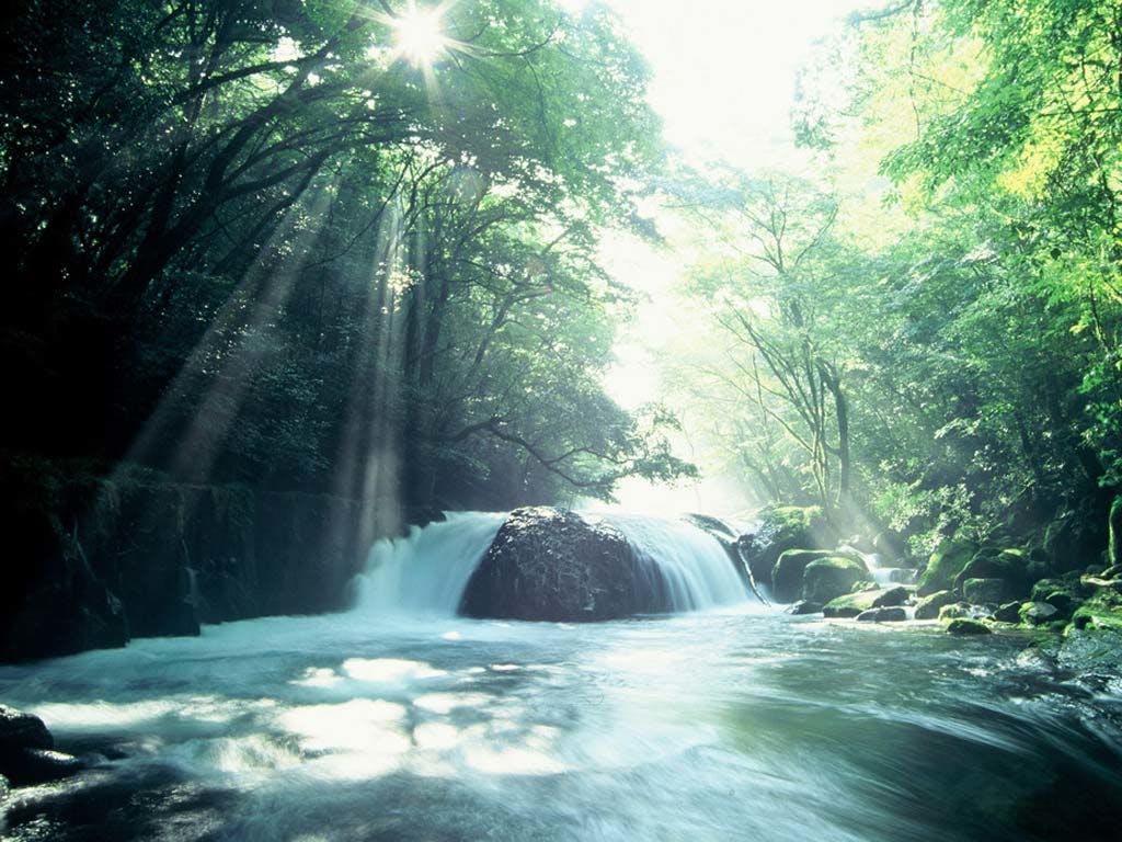 Ke Lembah Kikuchi untuk terapi hutan