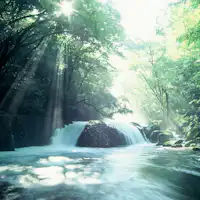 Ke Lembah Kikuchi untuk terapi hutan