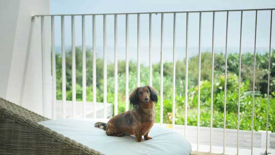 Iraph Sui, a Luxury Collection Hotel, Okinawa Miyako