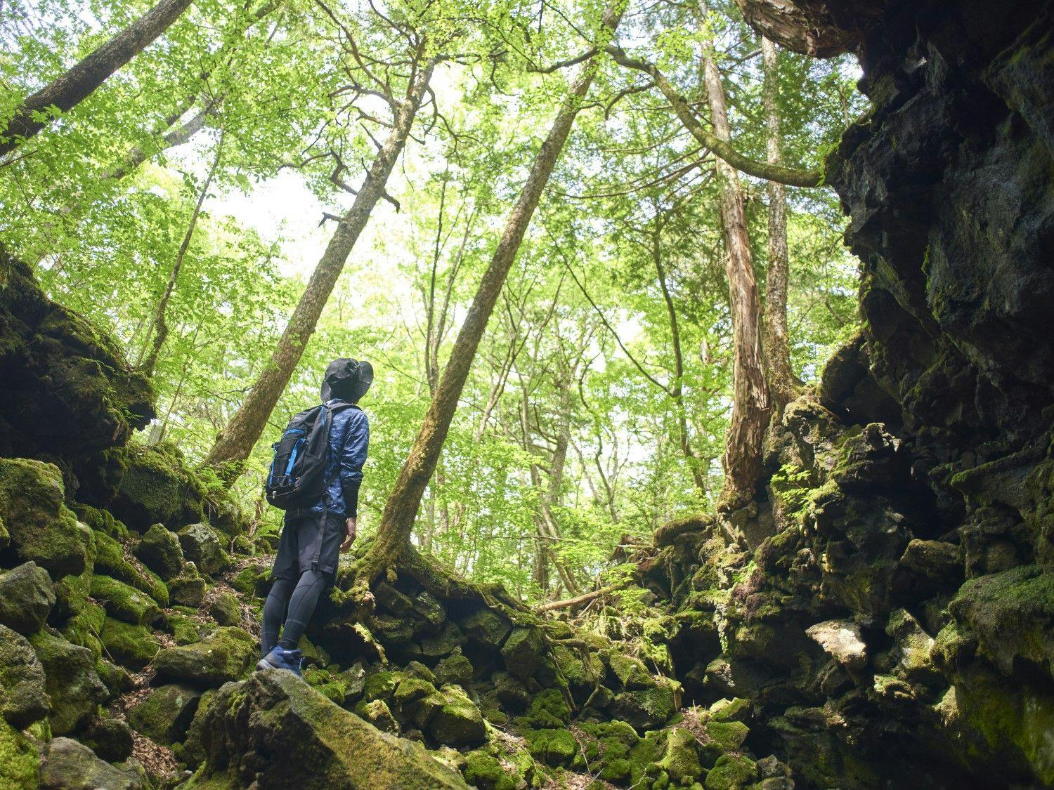 ふふ 河口湖