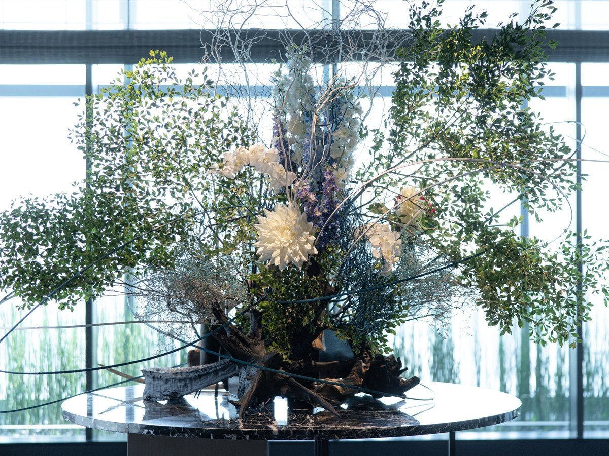 THE BLOSSOM HIBIYA（ザ ブラッサム 日比谷）