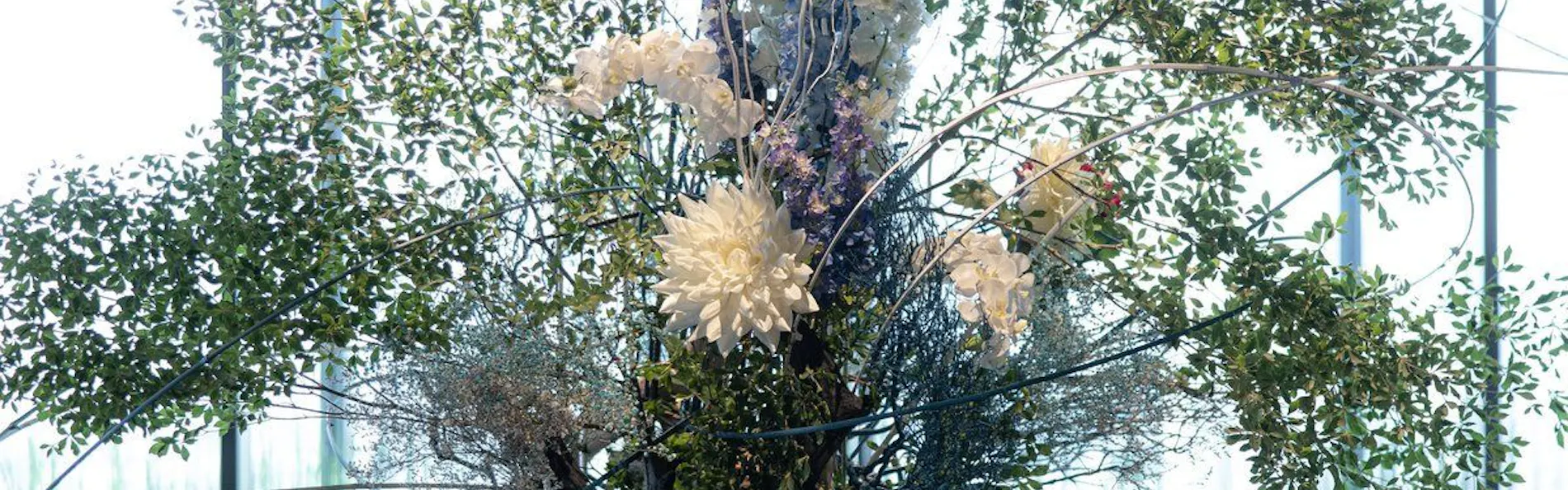 THE BLOSSOM HIBIYA(ザ ブラッサム 日比谷)