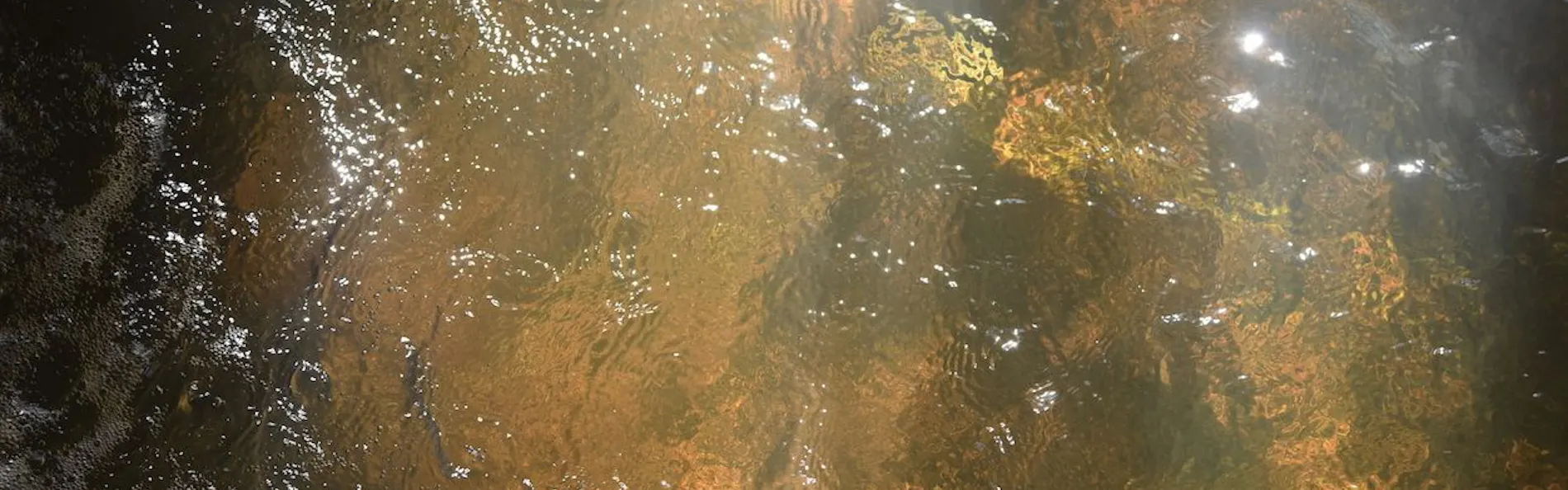 湖畔遊