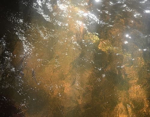 ・音に浸り、湯に浸る「音楽の部屋」